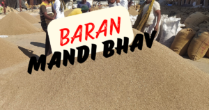 BARAN MANDI BHAV