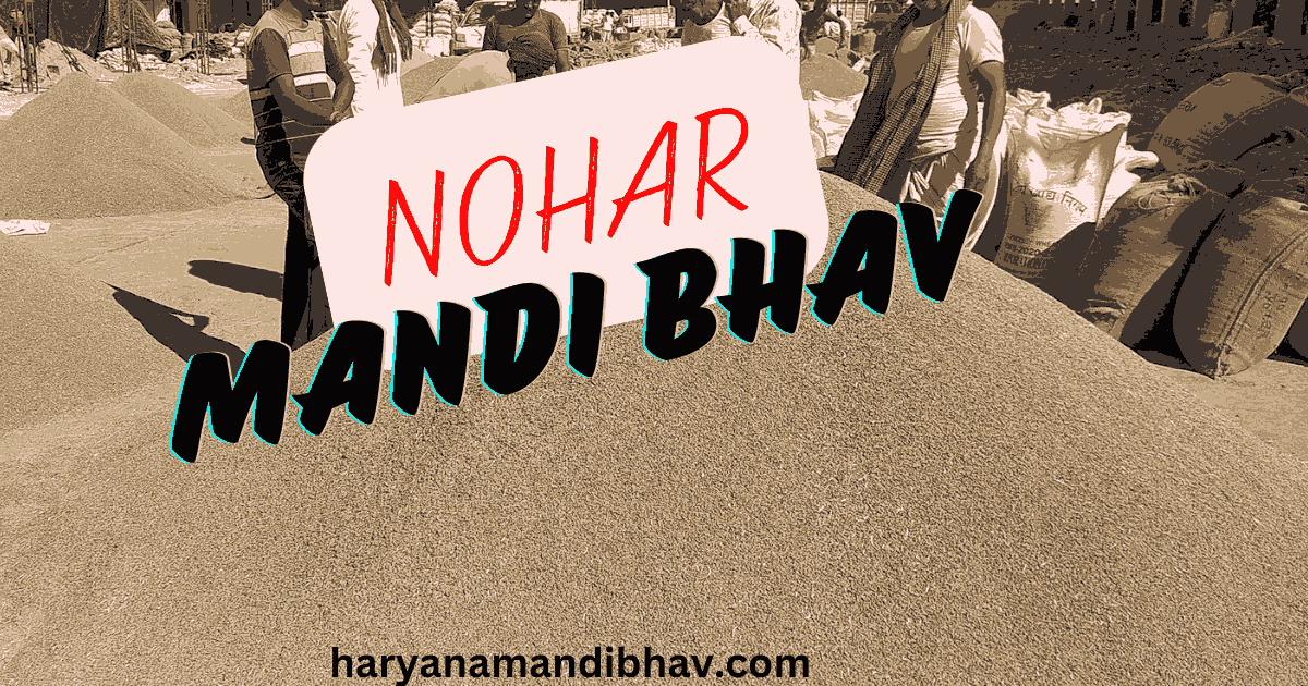 nohar mandi bhav